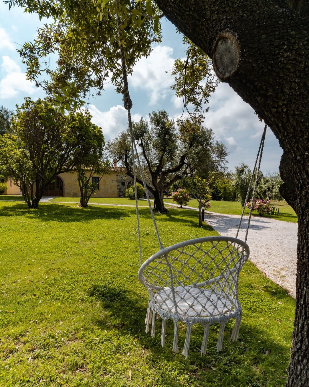 Accoglienza - Donati Films 53