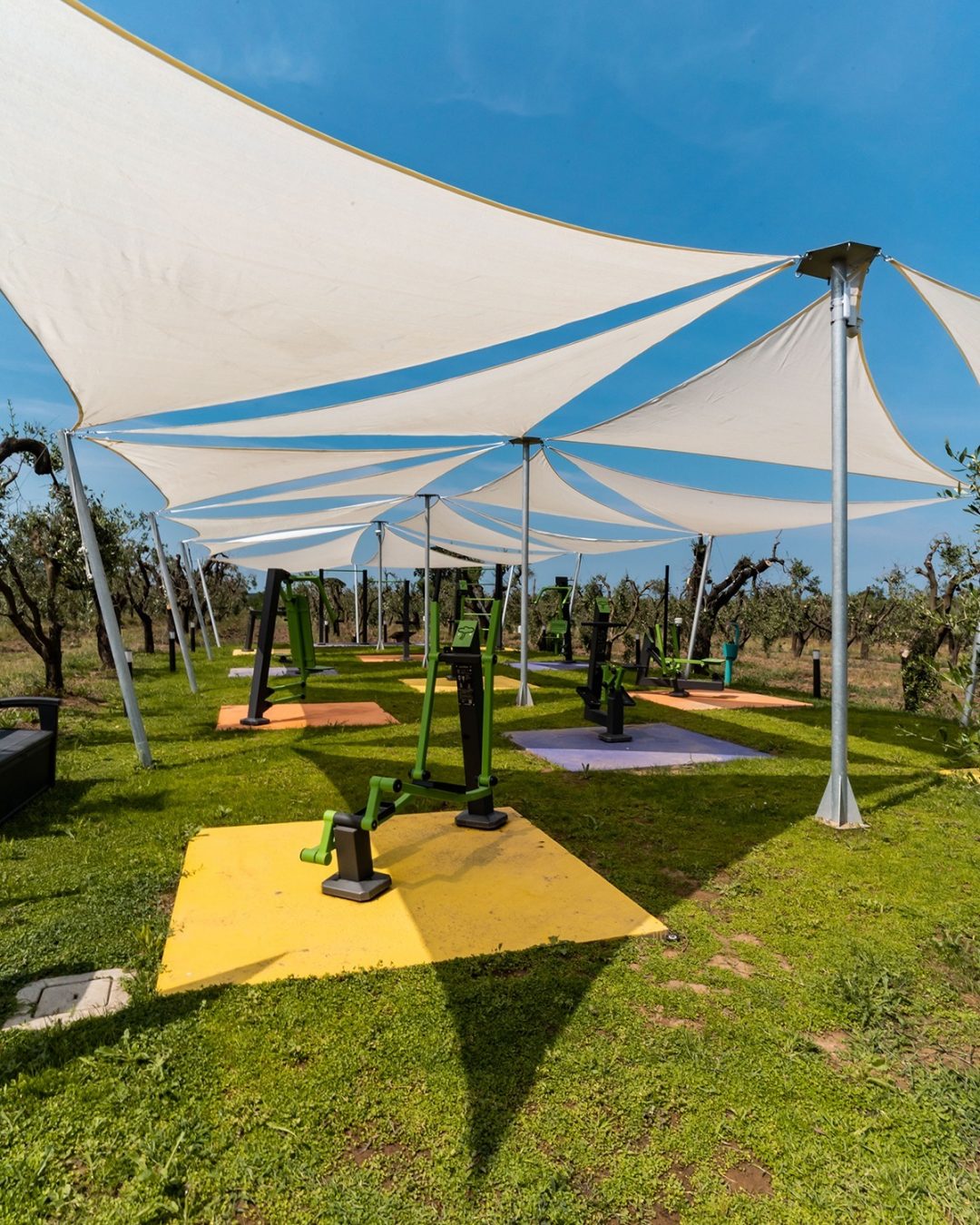 Accoglienza - Donati Films 54