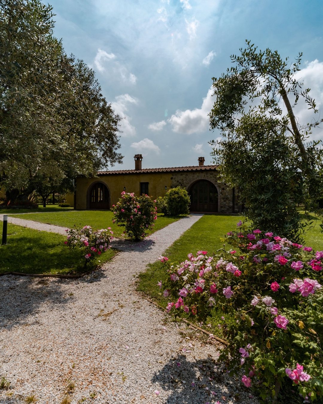 Accoglienza - Donati Films 55