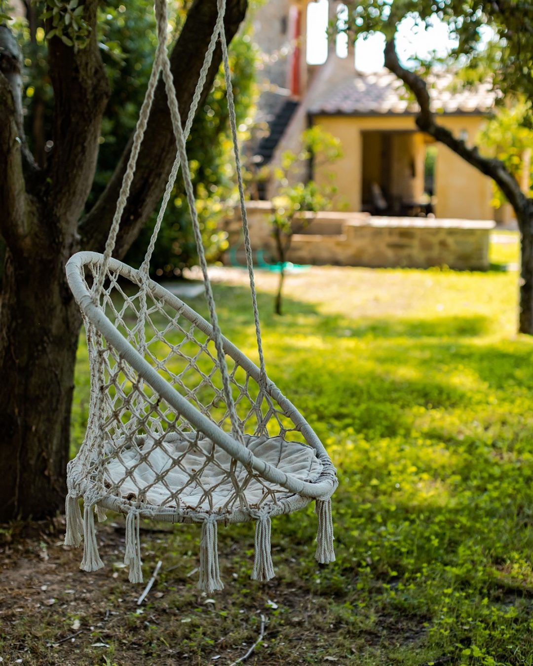 Accoglienza - Donati Films 56